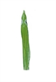 Behr Χταποδάκια Πράσινα 12cm 5τμχ